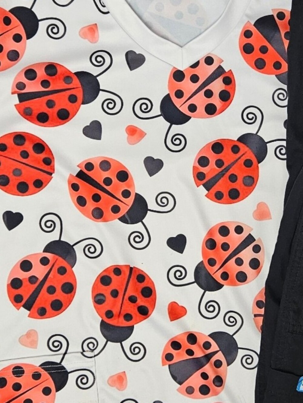 Ladybugs Scrub Set - Picture 2 of 2